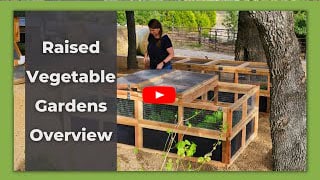 Raised Vegetable Gardens