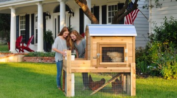 Small Round-Top Cedar Backyard Chicken Coop