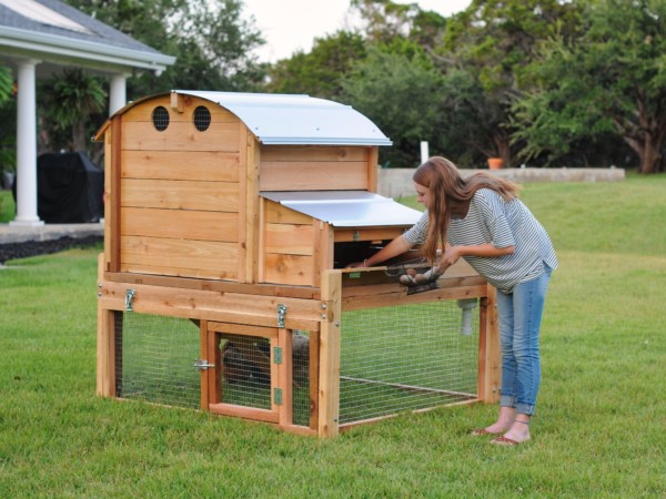 Small Round-Top Cedar Backyard Chicken Coop that shows the ability for outside egg collection.