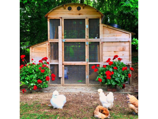 Round-Top-Walk-In-Chicken-Coop-Customer-Picture-with-Flowers