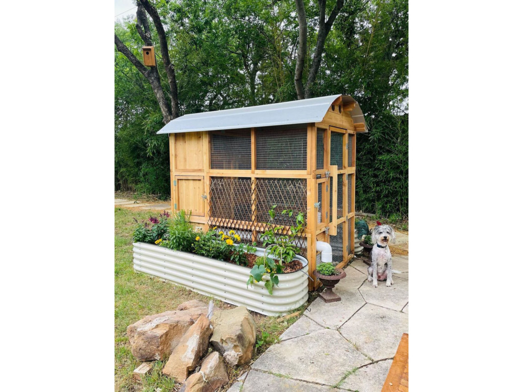 RoundTop StandUp Chicken Coop XL WalkIn by Roost & Root
