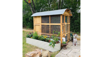 Round-Top Stand-Up Chicken Coop