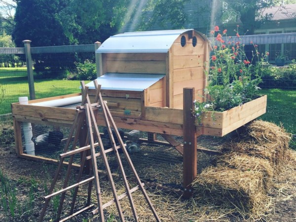 Round-Top-Backyard-Chicken-Coop-XL-Customer-picture-with-plants-on-back