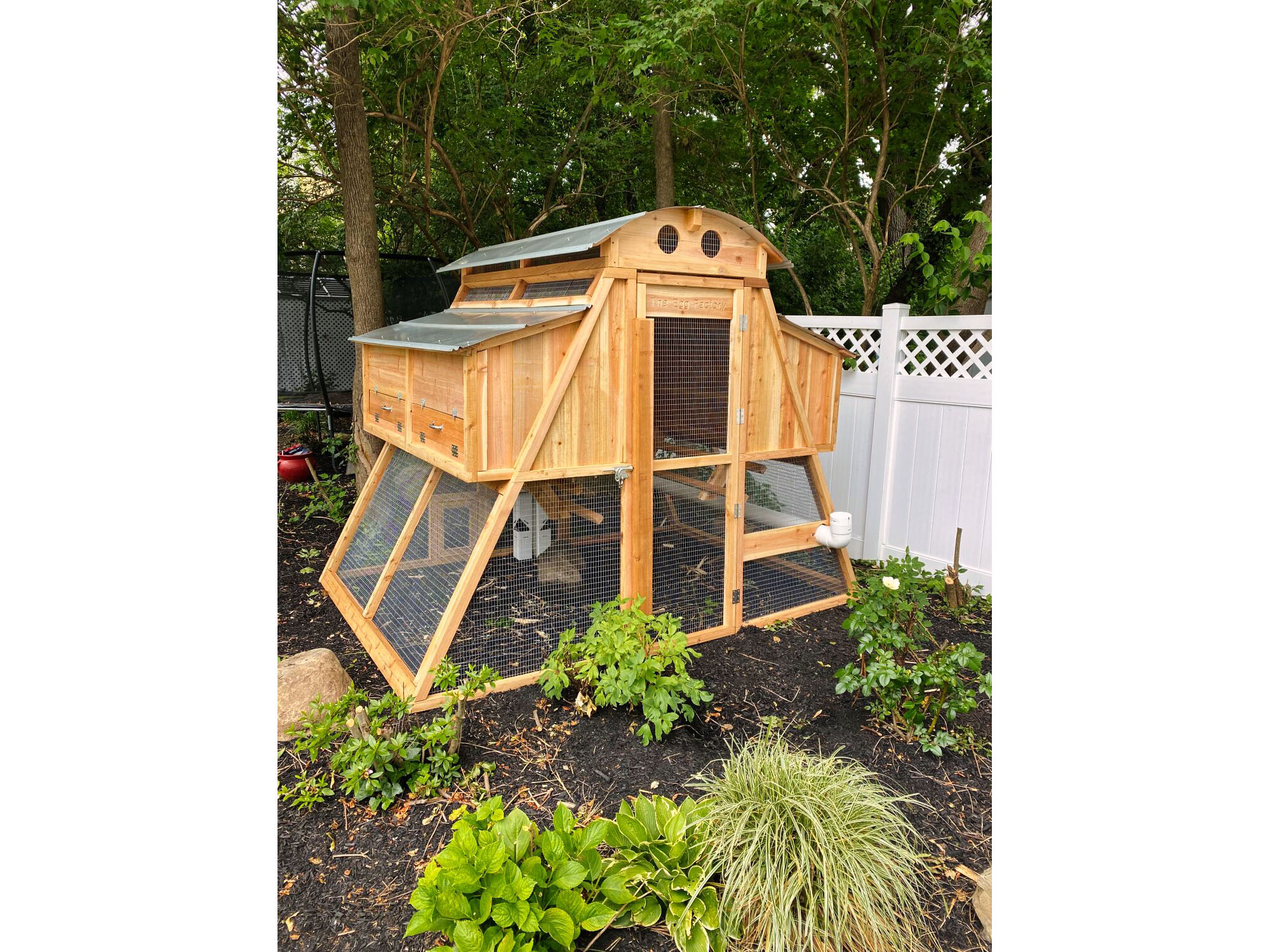 round-top-walk-in-chicken-loft-coop-customer-image