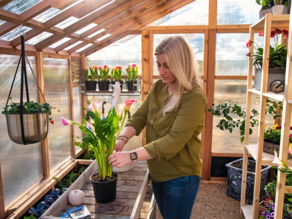 Slant Roof Greenhouse Repotting plants inside