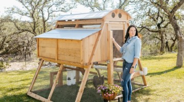 Round-Top-Chicken-Loft-Coop-Front-View-With-Person