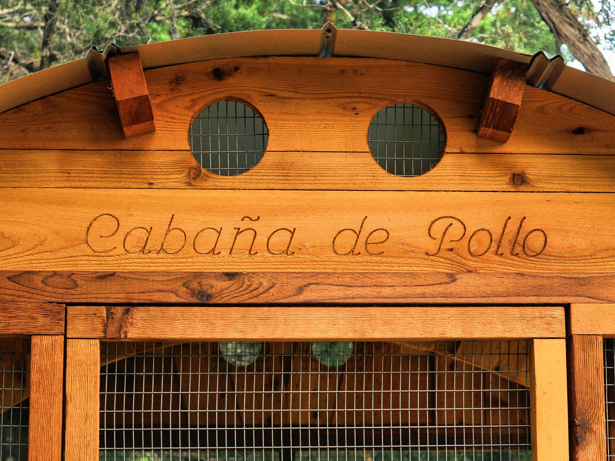 Round-Top-Walk-In-XL-Chicken-Coop-Custom-Carved-Name-Board