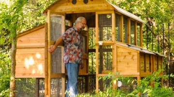 Large Cedar Walk-in Coop for Backyard
