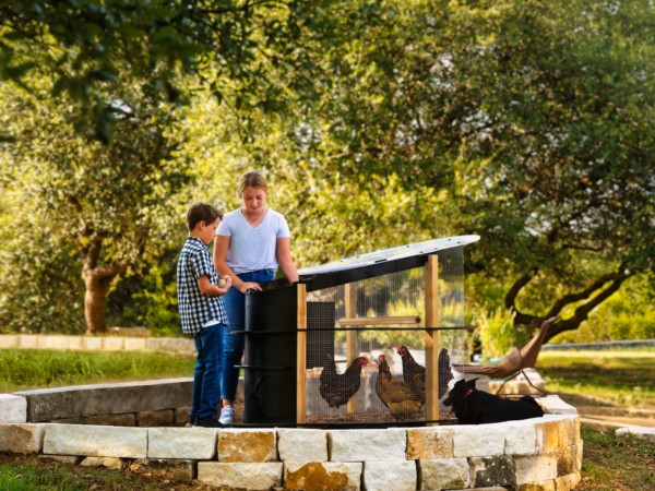 Urban Chicken Coop (1)
