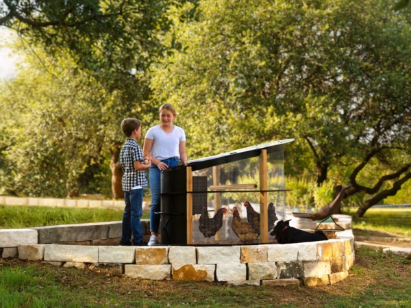 Urban Chicken Coop (2)