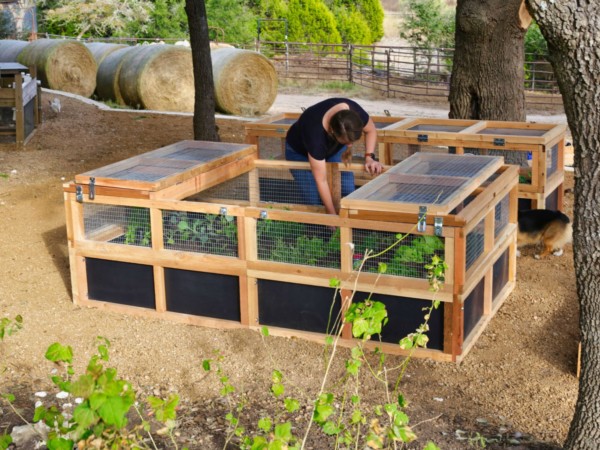 Roost and Root Cedar, Food Grade Safe, 47" Wide Wildlife Covers on a 47" Raised Garden Bed, Standard 2 Module, Garden Bed Bases Ordered Separately