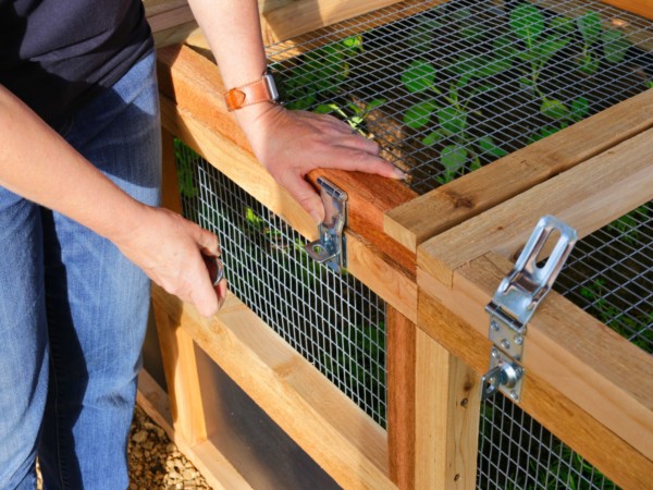Roost and Root Raised Garden Bed Wildlife Cover Lock Detail