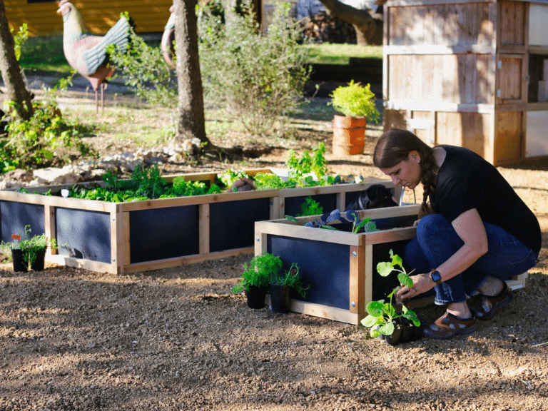 Raised garden beds