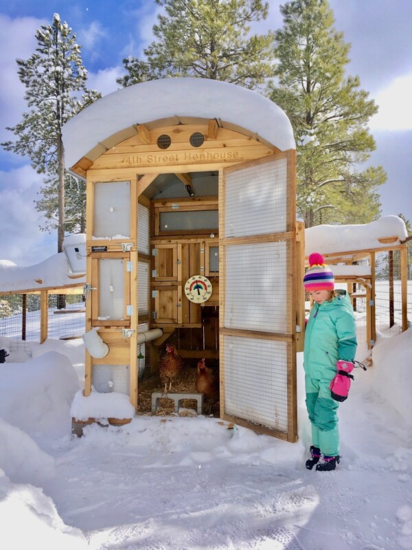 Stand-Up Chicken Coop in snowy weather