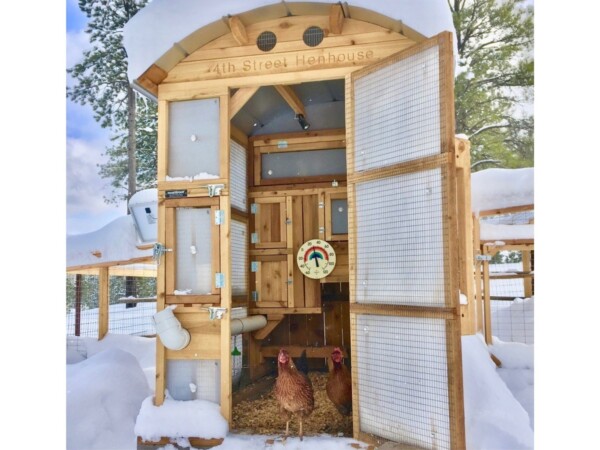 Roost-Root-Round-Top-Stand-Up-Chicken-Coop-Customer-Photo-4th-Street-Hen-House