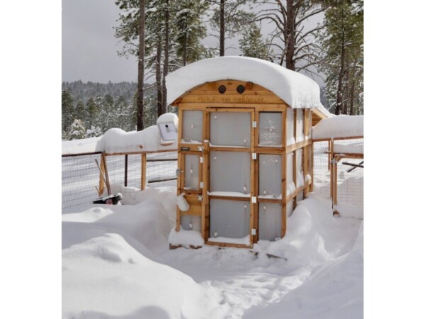 Roost-Root-Round-Top-Stand-Up-Chicken-Coop-Customer-Photo-4th-Street-Hen-House-Winter-Snow