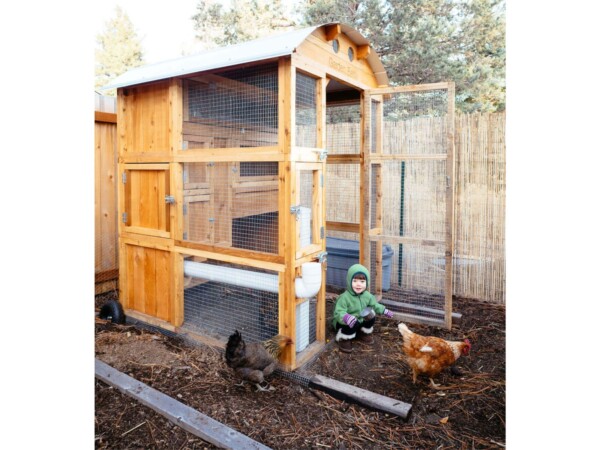 Roost-Root-Round-Top-Stand-Up-Chicken-Coop-Customer-Photo-Baby