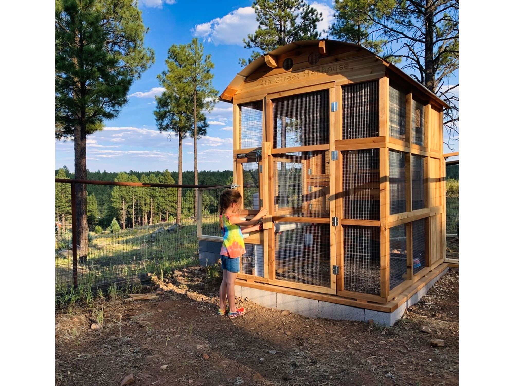 Roost-Root-Round-Top-Stand-Up-Chicken-Coop-Customer-Photo-Girl-4th-Street-Hen-House