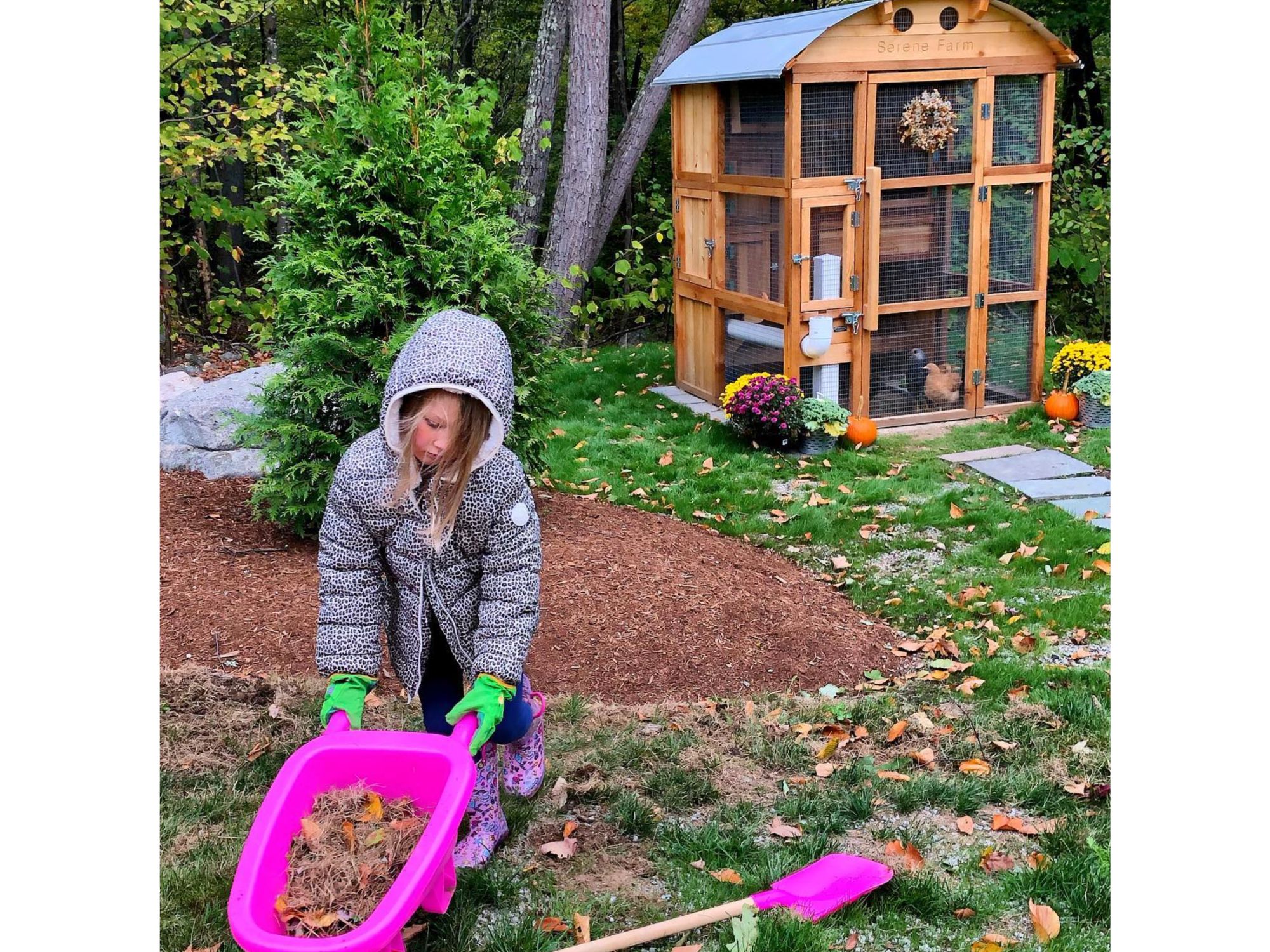 Roost-Root-Round-Top-Stand-Up-Chicken-Coop-Customer-Photo-Serene-Farm (1)