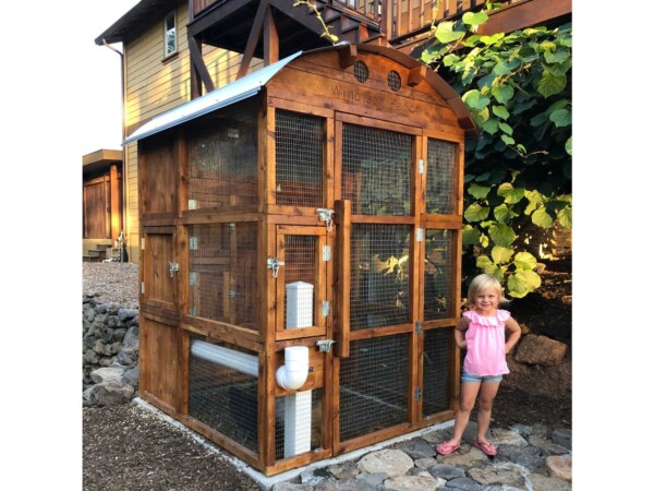 Roost-Root-Round-Top-Stand-Up-Coop-Stained-Girl