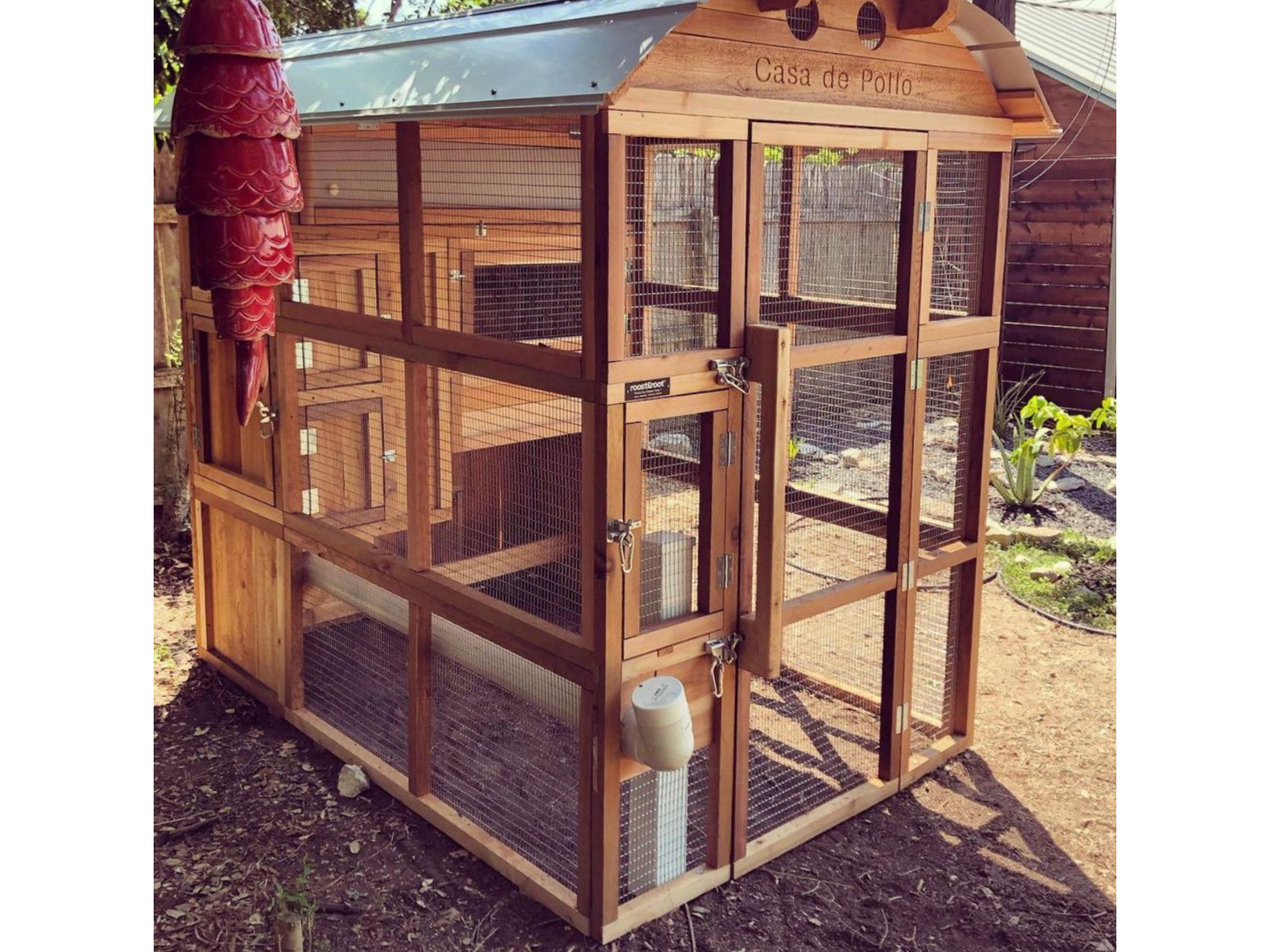 Roost-Root-Round-Top-Stand-Up-XL-Chicken-Coop-Customer-Photo-Casa-De-Pollo (1)