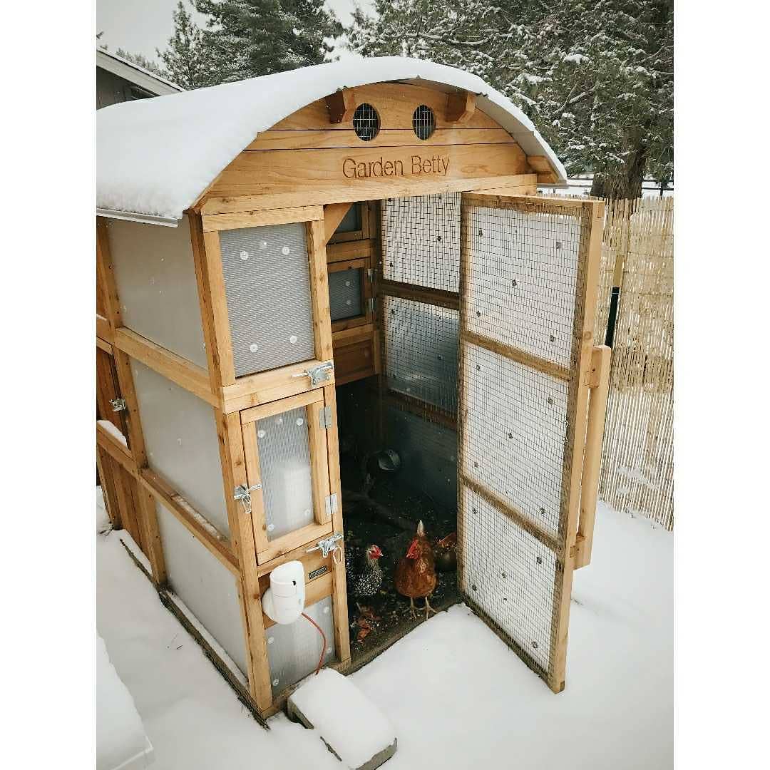 Roost-Root-Round-Top-Stand-Up-Chicken-Coop-Customer-Photo-Garden-Betty