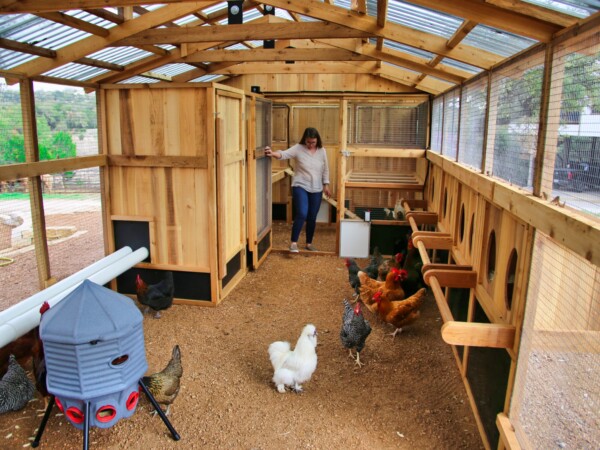 Heritage Chicken Coop Roost Access Door