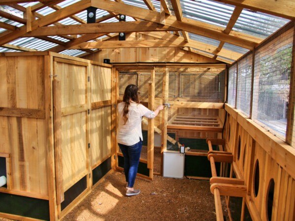 Heritage Chicken Coop Roost Entry Door