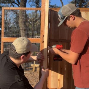 Chicken coop assembly