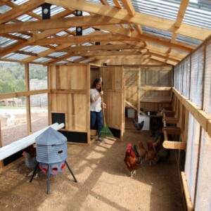 Person cleaning inside Heritage Chicken Coop