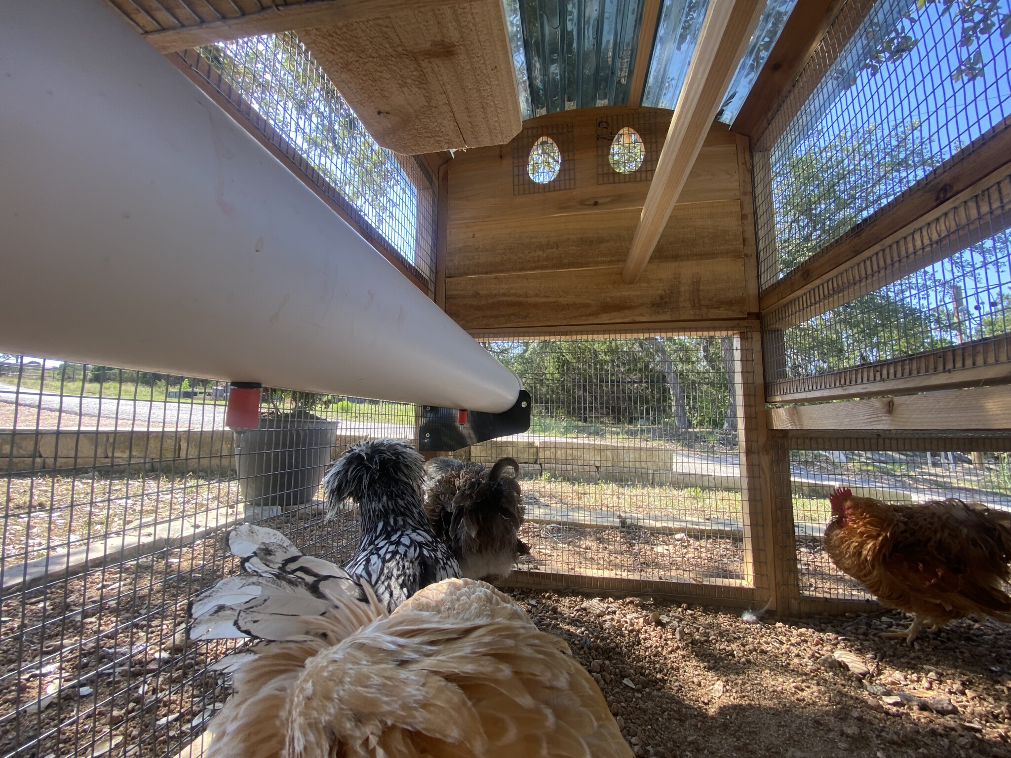 Starter Chicken Coop Roof Upgrade