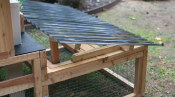 Backyard XL Chicken Coop Model 2 Sun Shade Optional Upgrade