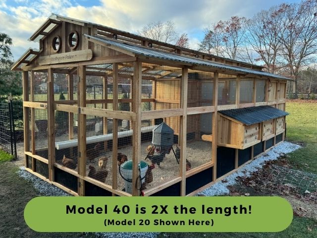 Heritage Chicken Coop