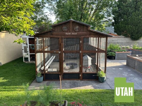 Customer Coop Picture