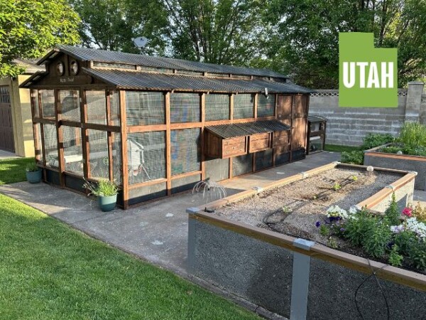 Customer Coop Picture