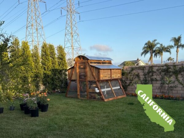 Customer Coop Picture