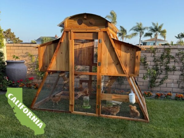 Customer Coop Picture