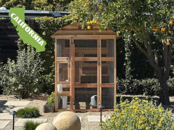 Customer Coop Picture