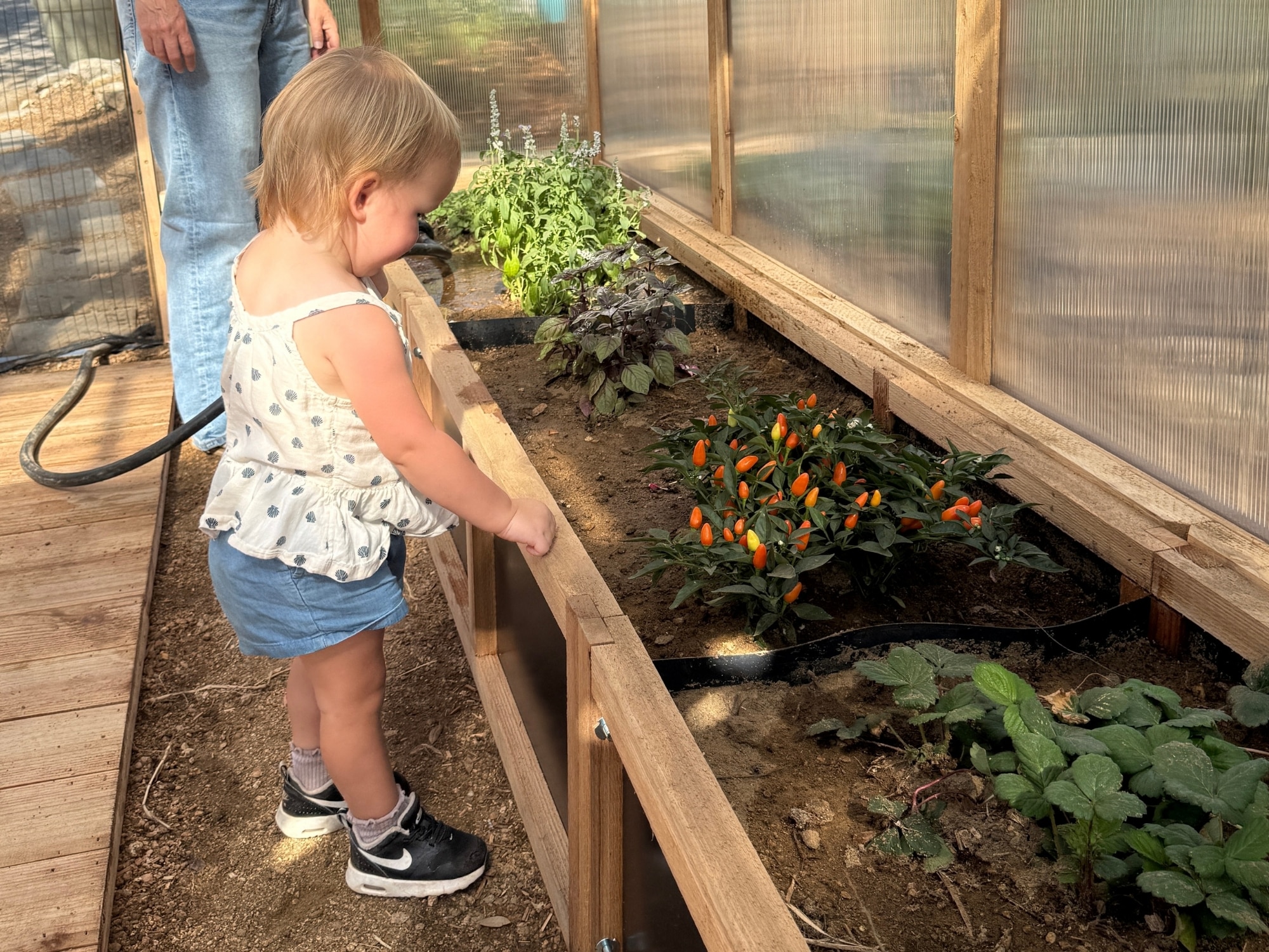 Garden Bed Close Up - Heritage Greenhouse (2)