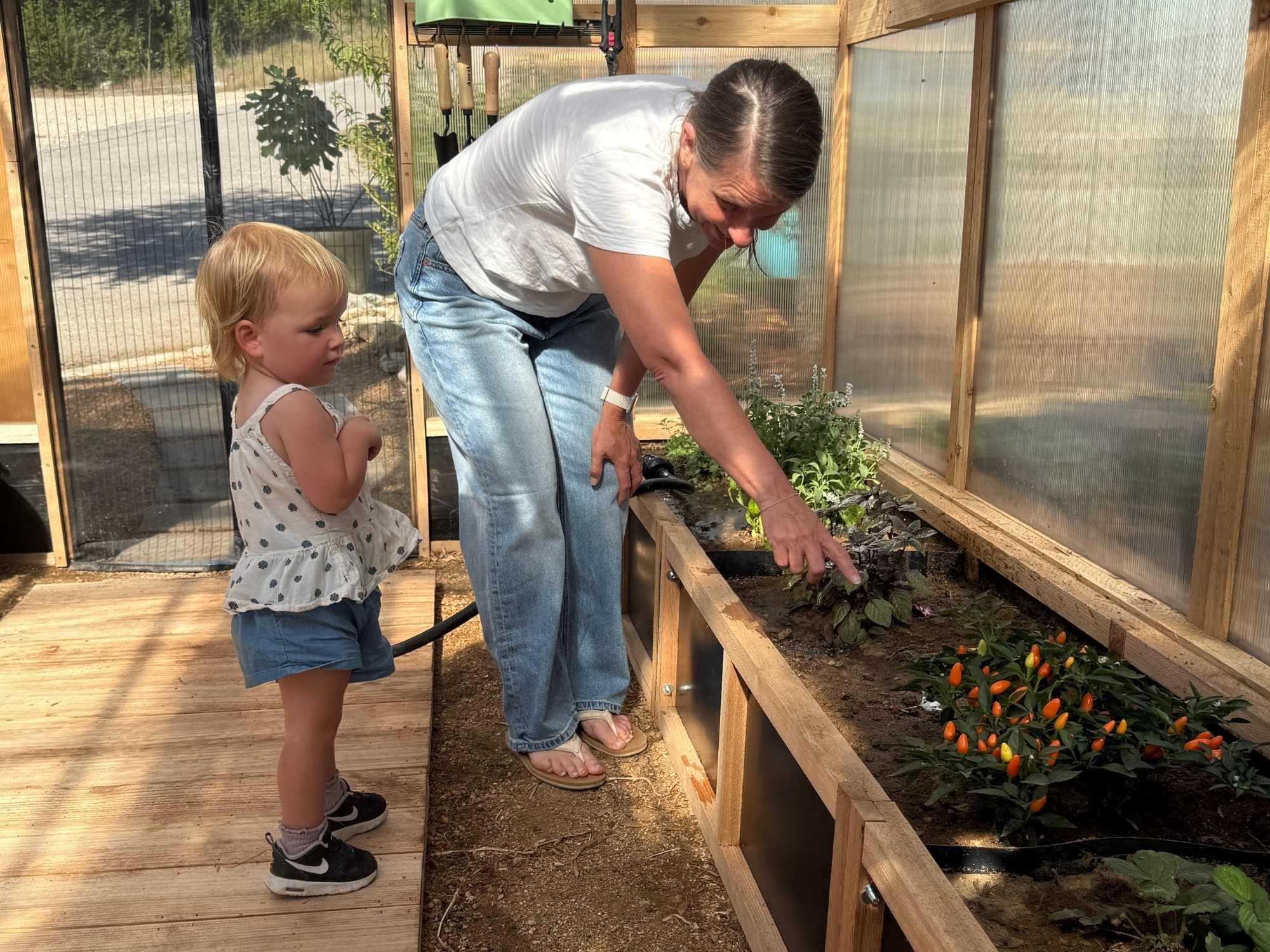 Garden Bed Close Up - Heritage Greenhouse
