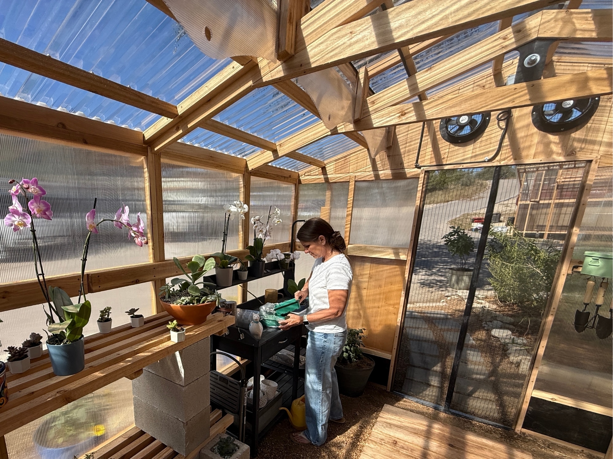 Inside View - Heritage Greenhouse