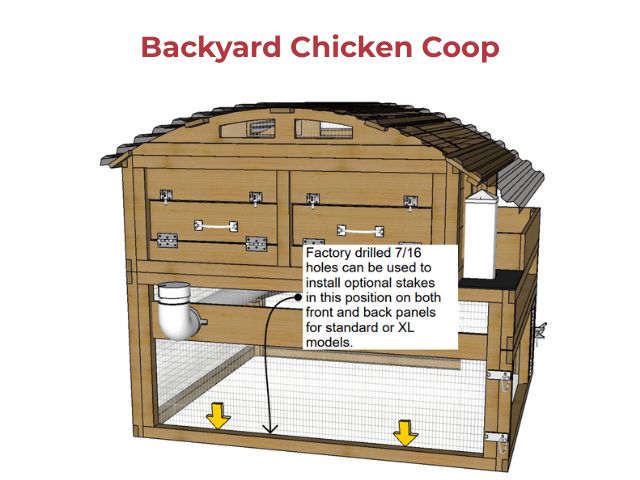 Backyard Chicken Coop Stakes