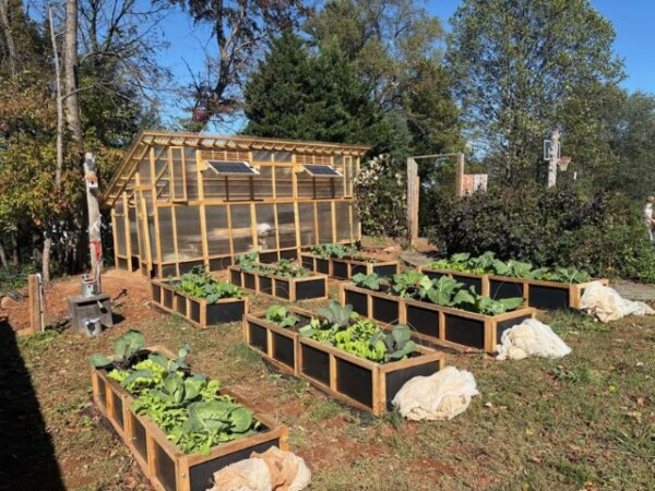 XL Slant-Roof Greenhouse Customer