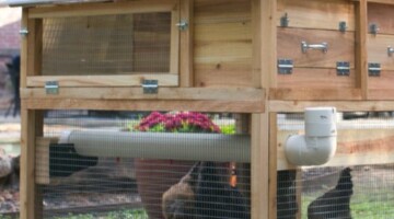 Easy Fill Waterer (Compact Series Coops)