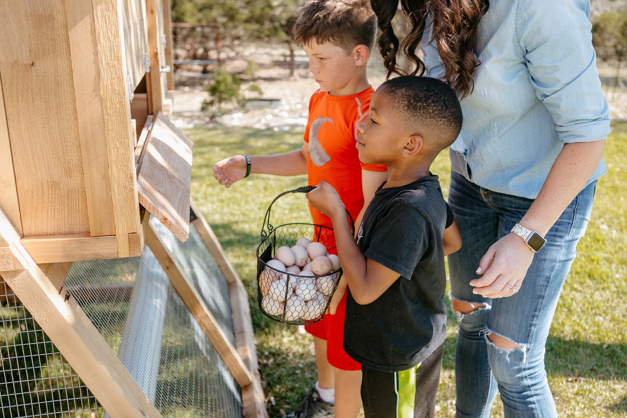 Kids collecting eggs from coop