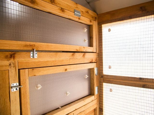 StormTwistClipsImage (1)